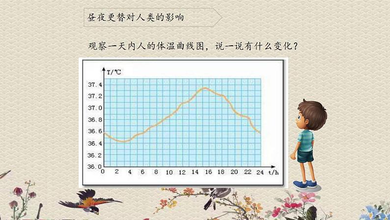 青岛版（六三制）六年级上册 科学 第四单元 太阳、地球和月亮《昼夜与生物》课件04