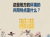 青岛版（六三制）六年级上册 科学 第五单元  生物与环境《蚯蚓找家》课件