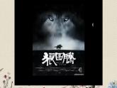 青岛版（六三制）六年级上册 科学 第五单元  生物与环境《密切联系的生物界》课件