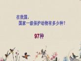 青岛版（六三制）六年级上册 科学 第五单元  生物与环境《珍稀动植物》课件