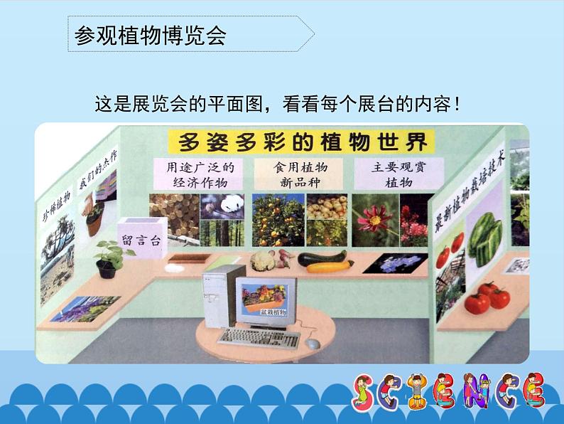 冀教版六年级上册科学2.植物博览会  课件04