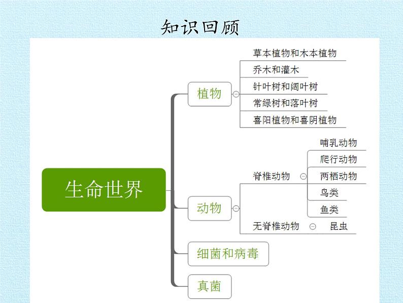 冀教版六年级上册科学第一单元、丰富多彩的生命世界  复习课件第2页