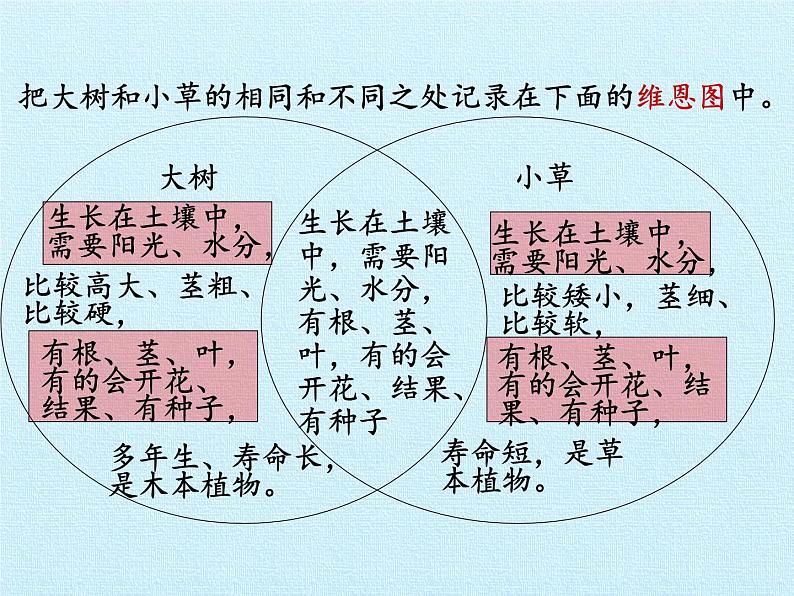 冀教版六年级上册科学第一单元、丰富多彩的生命世界  复习课件第4页