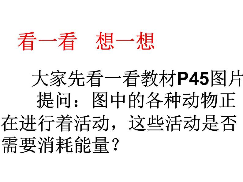 冀教版六年级上册科学10.动物与能量  课件第2页