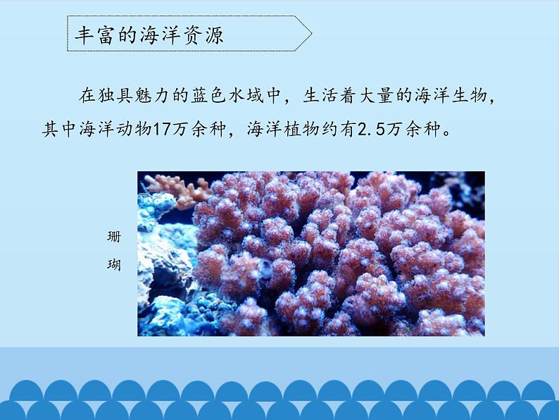 冀教版六年级上册科学21.蔚蓝色的宝库  课件08