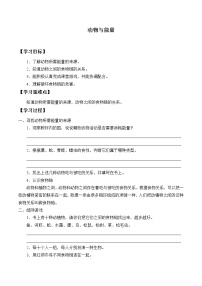 小学科学冀教版六年级上册10 动物与能量学案及答案