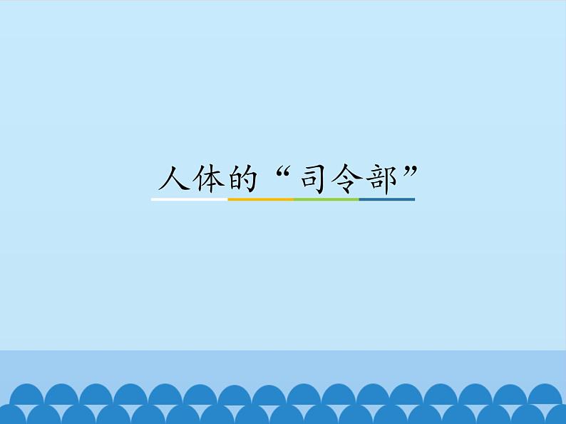 冀人教版五年级科学上册6.人体的司令部  课件01