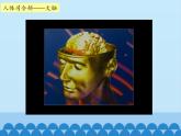 冀人教版五年级科学上册6.人体的司令部  课件