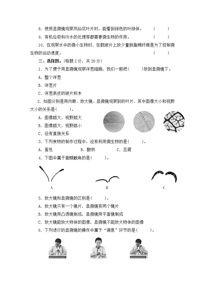 教科版六年级上册-科学-第1单元试卷+PPT讲解+答案（可直接打印）02