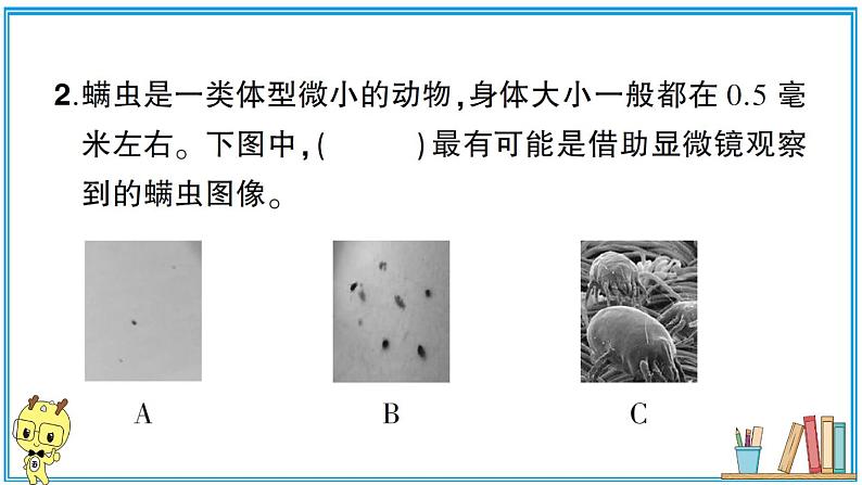 期末测试卷（二）第8页