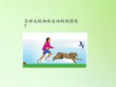 冀人版四年級(jí)科學(xué)上冊(cè)3.運(yùn)動(dòng)的快慢  課件