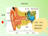 冀人版四年級(jí)科學(xué)上冊(cè)9.怎樣聽到聲音  課件