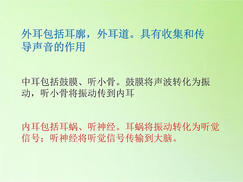 冀人版四年级科学上册9.怎样听到声音  课件第6页