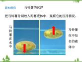 教科版小学科学五年级下册 第1单元 第7课 马铃薯在液体中的沉浮 课件+教学设计