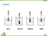 探索马铃薯沉浮的原因PPT课件免费下载