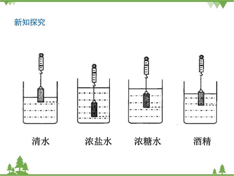 探索马铃薯沉浮的原因PPT课件免费下载05