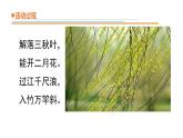 风的形成PPT课件免费下载