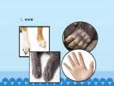 首师大版六年级科学上册4.人类的进化  课件