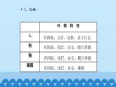 首师大版六年级科学上册4.人类的进化  课件