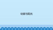 首师大版六年级上册5.幼苗与阳光课堂教学ppt课件