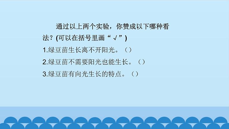 首师大版六年级科学上册5.幼苗与阳光    课件第6页