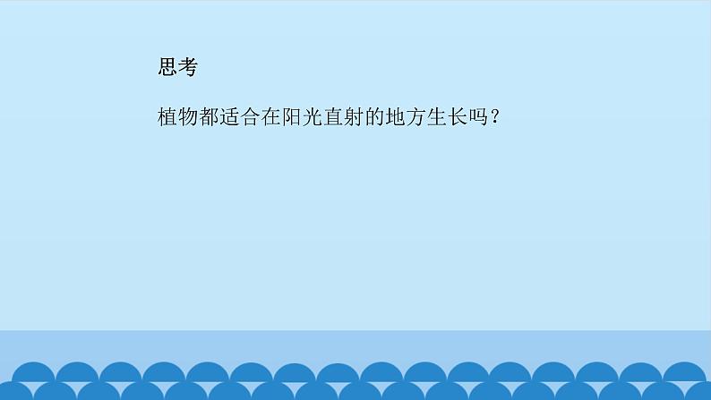 首师大版六年级科学上册5.幼苗与阳光    课件第7页