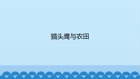 小学科学首师大版六年级上册6.猫头鹰与农田备课ppt课件