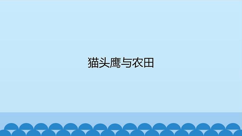 首师大版六年级科学上册6.猫头鹰与农田   课件01