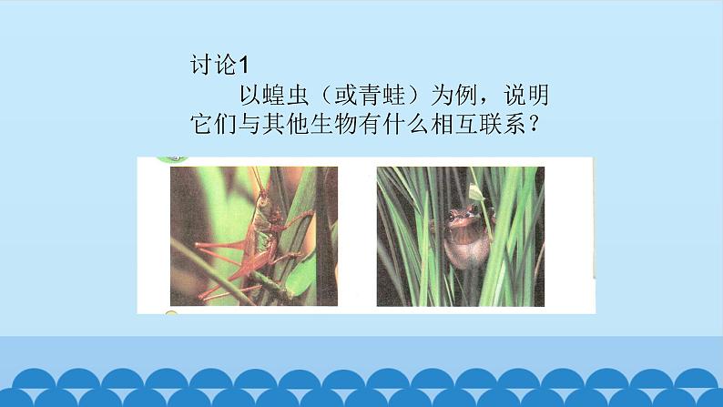 首师大版六年级科学上册8.制作生物生存环境的模型    课件02