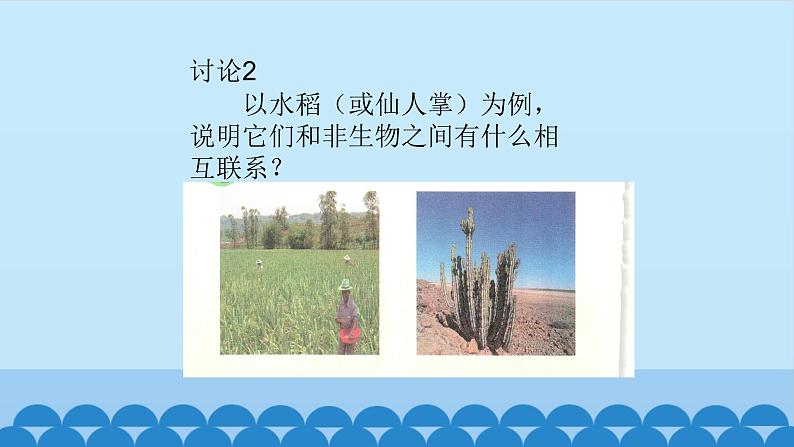 首师大版六年级科学上册8.制作生物生存环境的模型    课件03