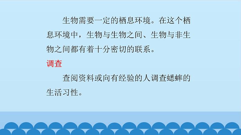 首师大版六年级科学上册8.制作生物生存环境的模型    课件04