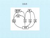 首师大版六年级科学上册第二单元  生物与环境  复习课件