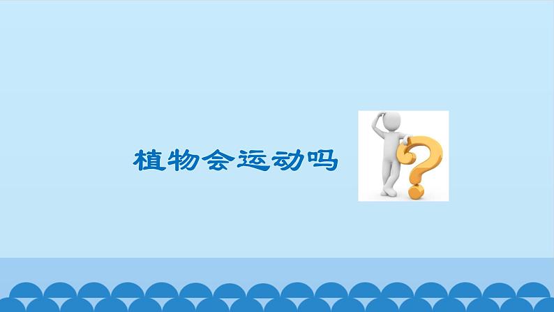 首师大版六年级科学上册9.植物的运动   课件第2页