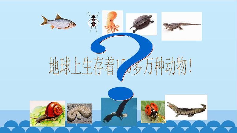 首师大版六年级科学上册10.动物的运动   课件02