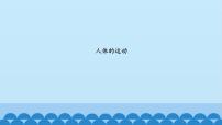 科学六年级上册11.人体的运动教案配套课件ppt