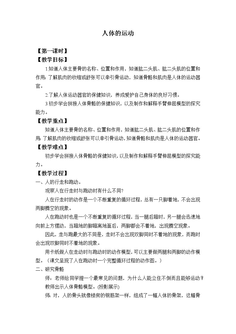 首师大版六年级科学上册11.人体的运动_教案第1页