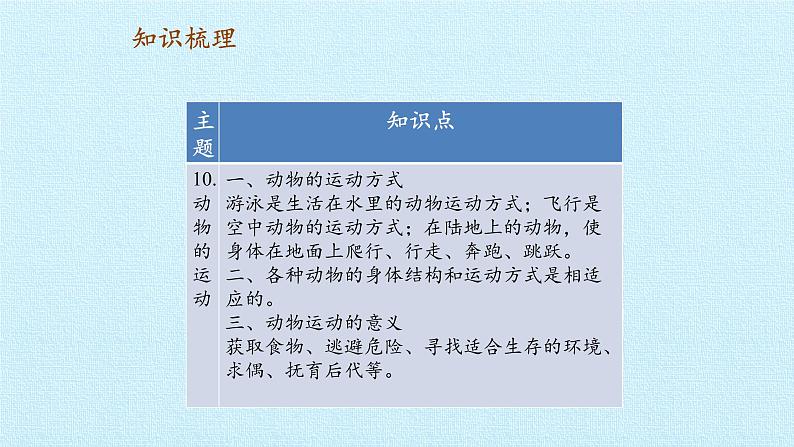 首师大版六年级科学上册第三单元   身边的运动    复习课件05