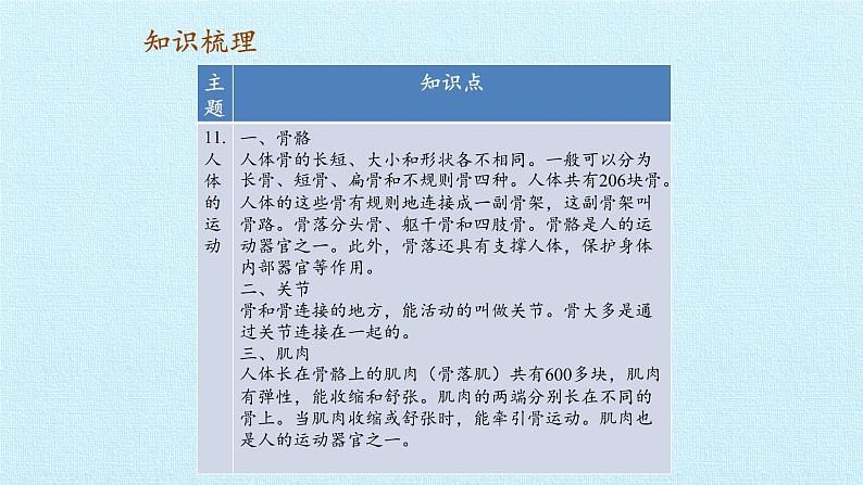 首师大版六年级科学上册第三单元   身边的运动    复习课件06