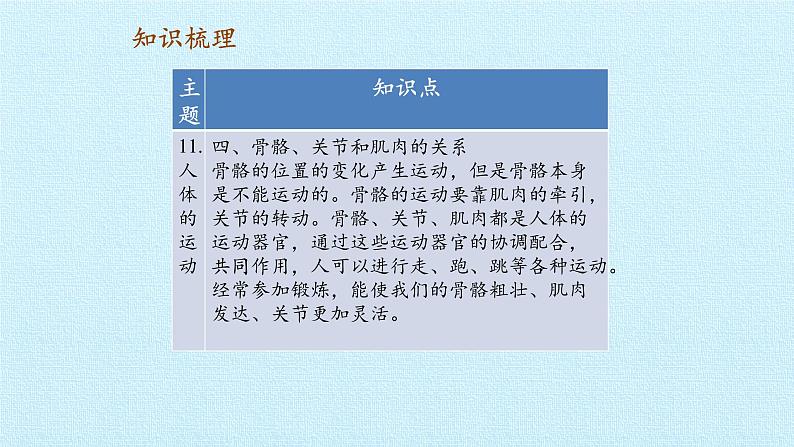 首师大版六年级科学上册第三单元   身边的运动    复习课件07