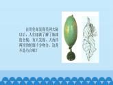 首师大版六年级科学上册13.地壳的运动   课件