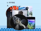 首师大版六年级科学上册17.有趣的科学考察活动   课件