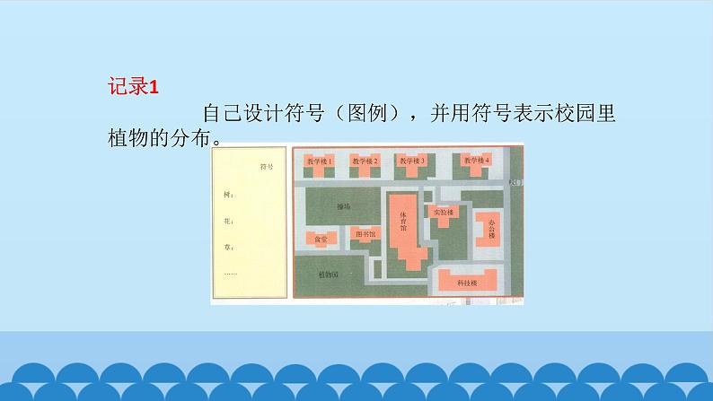 首师大版六年级科学上册18.植物的考察   课件04