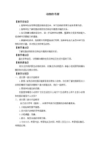 小学科学首师大版六年级上册19.动物的考察教案