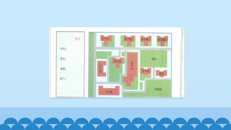 首师大版六年级科学上册19.动物的考察   课件第5页