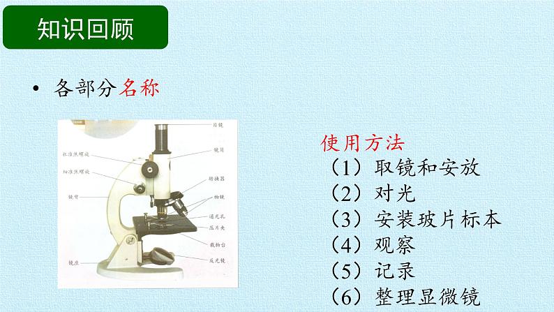 首师大版六年级科学下册第一单元  技术与科学  复习课件05