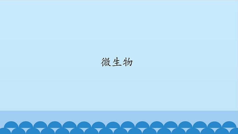 首师大版六年级科学下册3.微生物   课件01