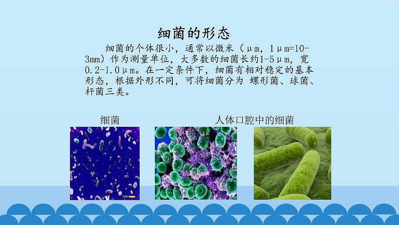 首师大版六年级科学下册3.微生物   课件05