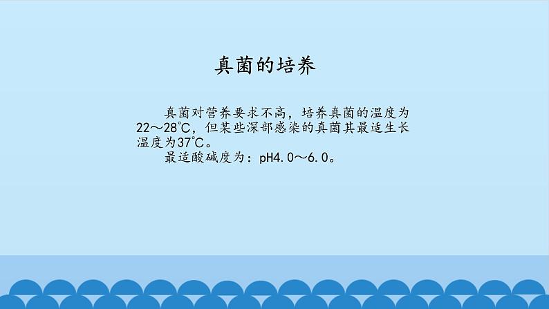 首师大版六年级科学下册3.微生物   课件07