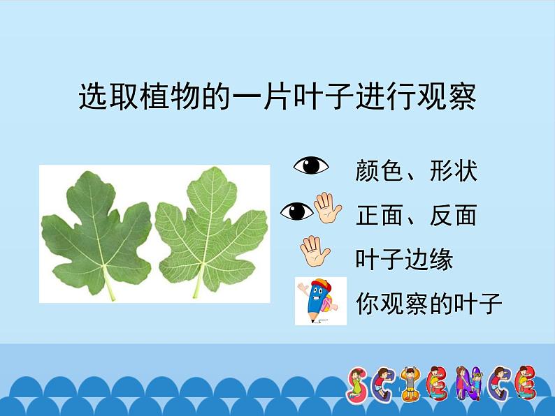 走进科学PPT课件免费下载06