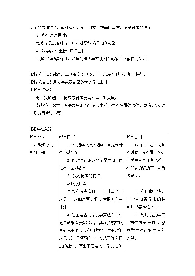 教科版（2001）科学六年级下册 1.2 放大镜下的昆虫世界 (2) 教案第2页